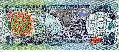 Beschrijving achterzijde: FISH